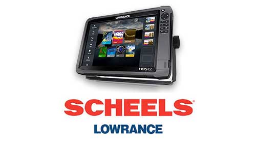 Scheels